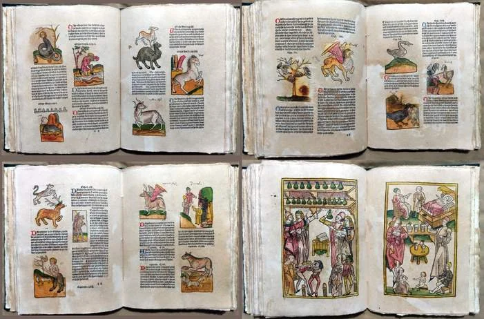 Four open spreads of The Noble Lyfe and Natures of Man, with hand-colored woodcuts of beasts and figures