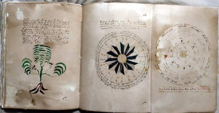 A second fold-out page from the Voynich Manuscript reproduction