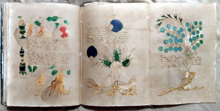 A fold-out page from the Voynich Manuscript reproduction